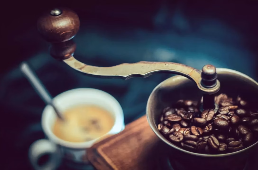 Tout savoir sur le café : histoire, origines et culture d&rsquo;une boisson mondiale